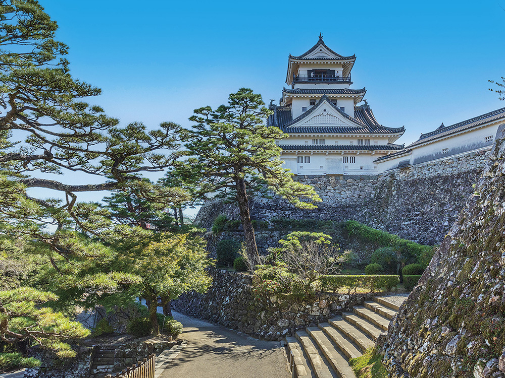 博多から神戸へ暖かな高知を訪ねる4日間の旅
