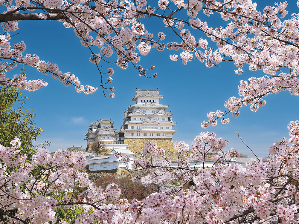 阿波の山を染める桜と春うららかな播磨の名城