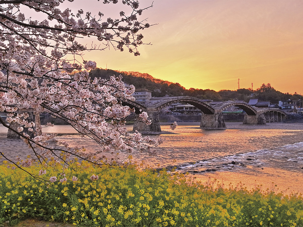 花明かりの名城と桜吹雪の五連アーチ橋