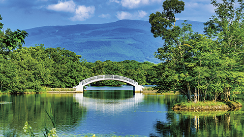 飛鳥Ⅱ・飛鳥Ⅲ公式クルーズ予約サイト | ASUKA CRUISE