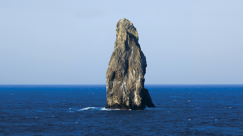 飛鳥Ⅱ・飛鳥Ⅲ公式クルーズ予約サイト | ASUKA CRUISE