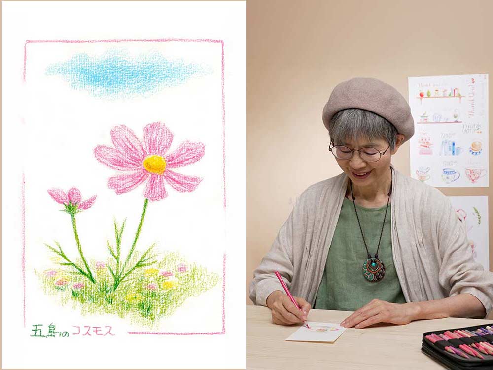 教室：色鉛筆で五島のコスモスを描きましょう （有料・定員制）