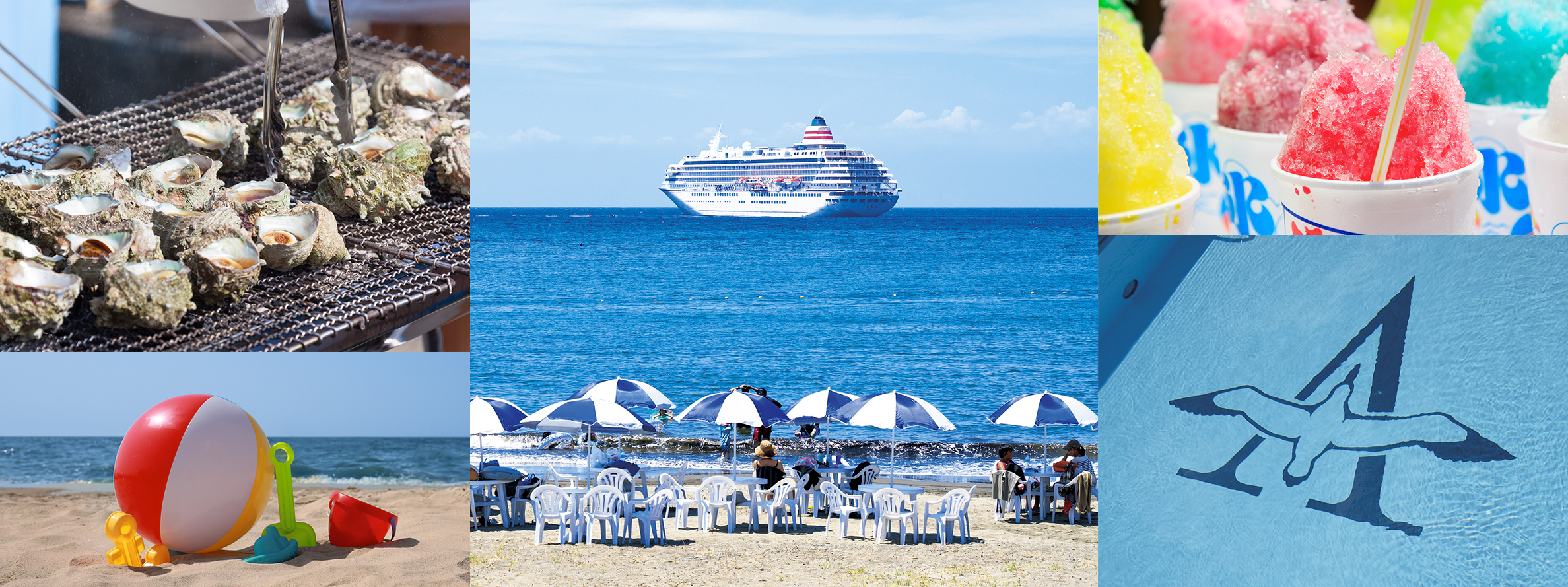 飛鳥Ⅱ・飛鳥Ⅲ公式クルーズ予約サイト | ASUKA CRUISE