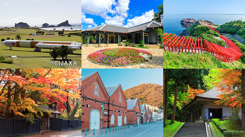 飛鳥Ⅱ・飛鳥Ⅲ公式クルーズ予約サイト | ASUKA CRUISE