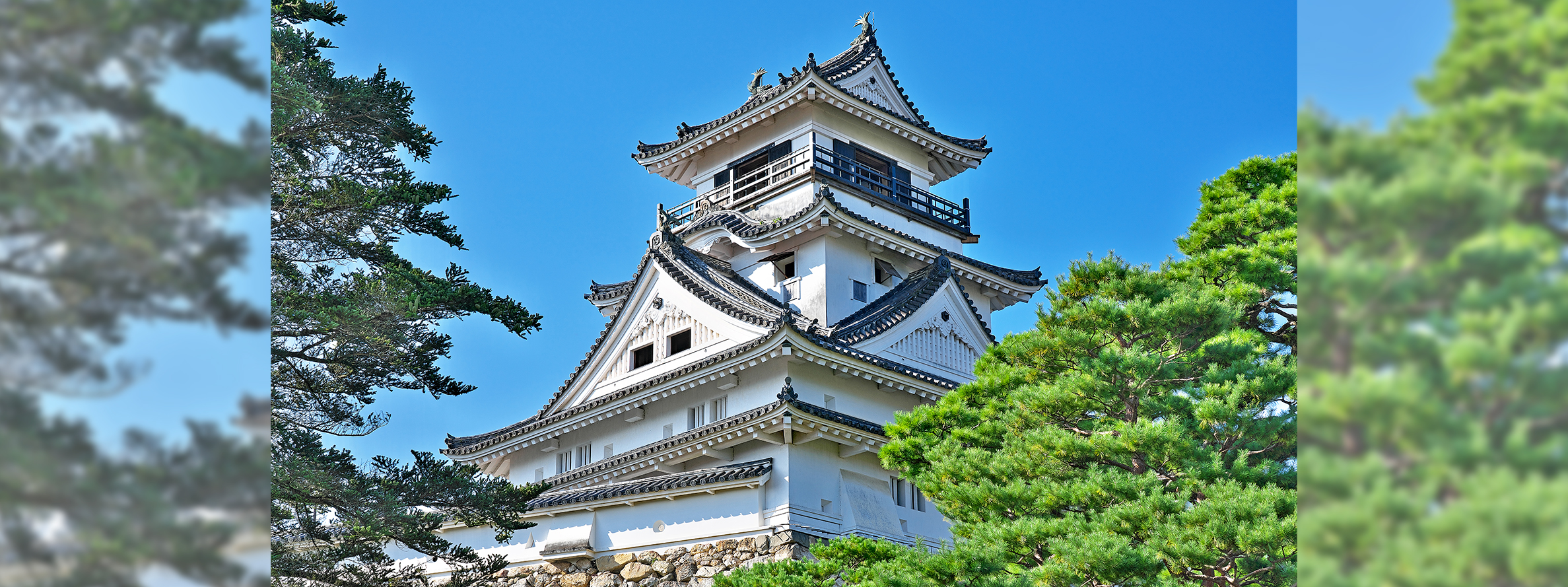 飛鳥Ⅱ・飛鳥Ⅲ公式クルーズ予約サイト | ASUKA CRUISE