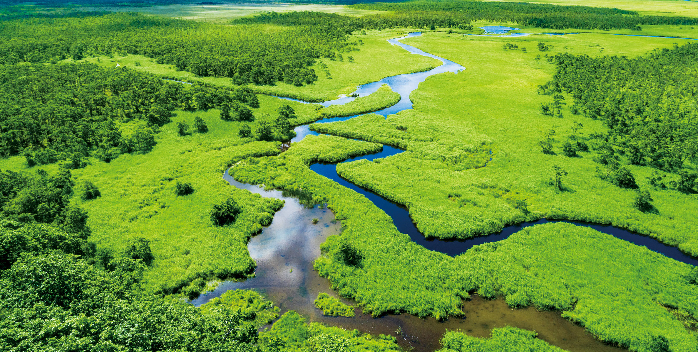 飛鳥Ⅱ・飛鳥Ⅲ公式クルーズ予約サイト | ASUKA CRUISE