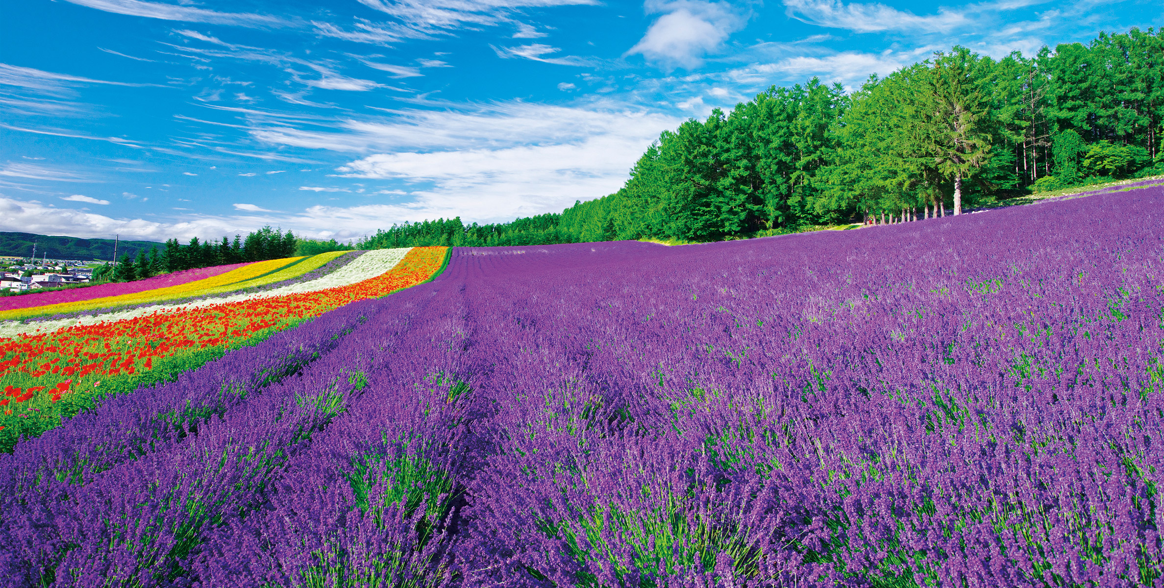 飛鳥Ⅱ・飛鳥Ⅲ公式クルーズ予約サイト | ASUKA CRUISE