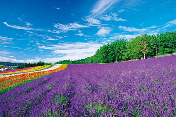 雄大な自然にふれ港町の歴史をたどる<br>夏の北海道3港へ