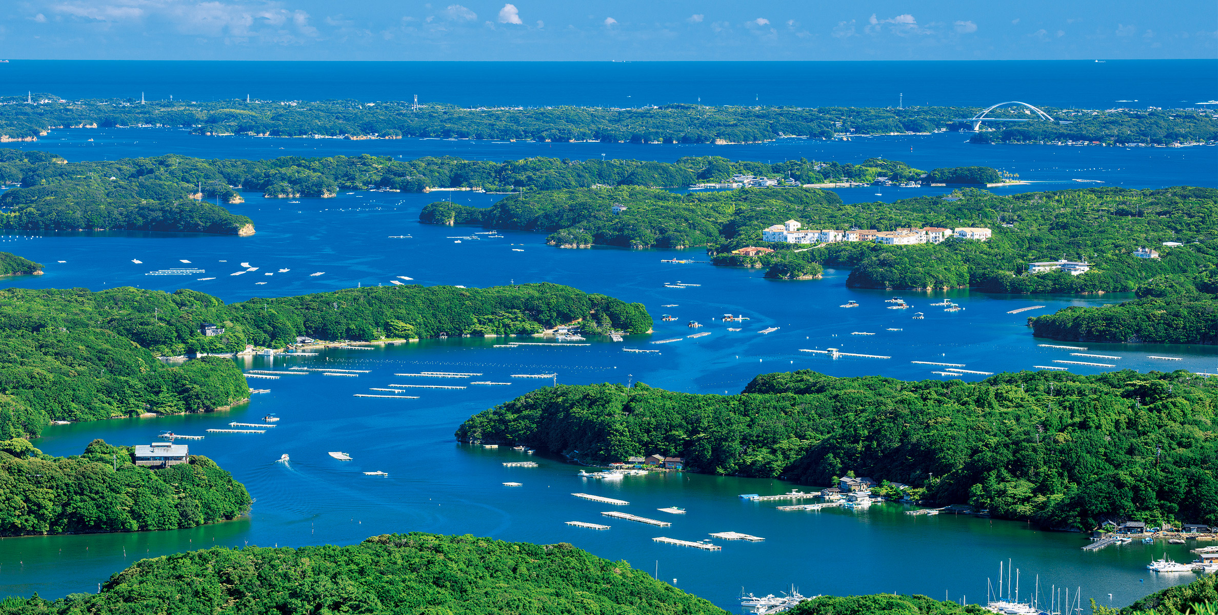 飛鳥Ⅱ・飛鳥Ⅲ公式クルーズ予約サイト | ASUKA CRUISE