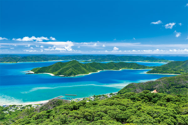 ひと足早い夏を感じて別府から鹿児島、奄美へ<br>南国ゆったり旅