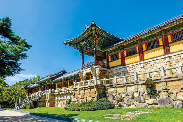 活気ある二都へ<br>博多&釜山<br>個性あふれる美味探訪