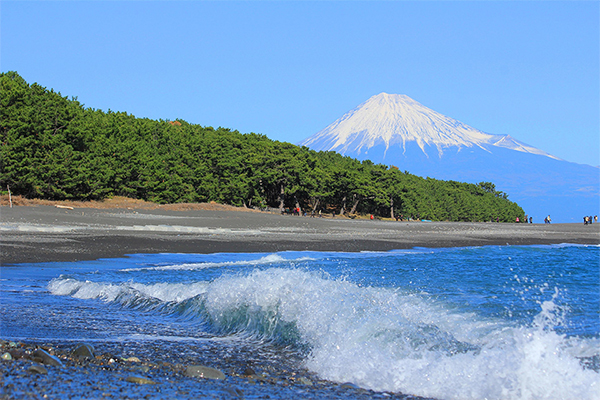 三保松原と富士山
