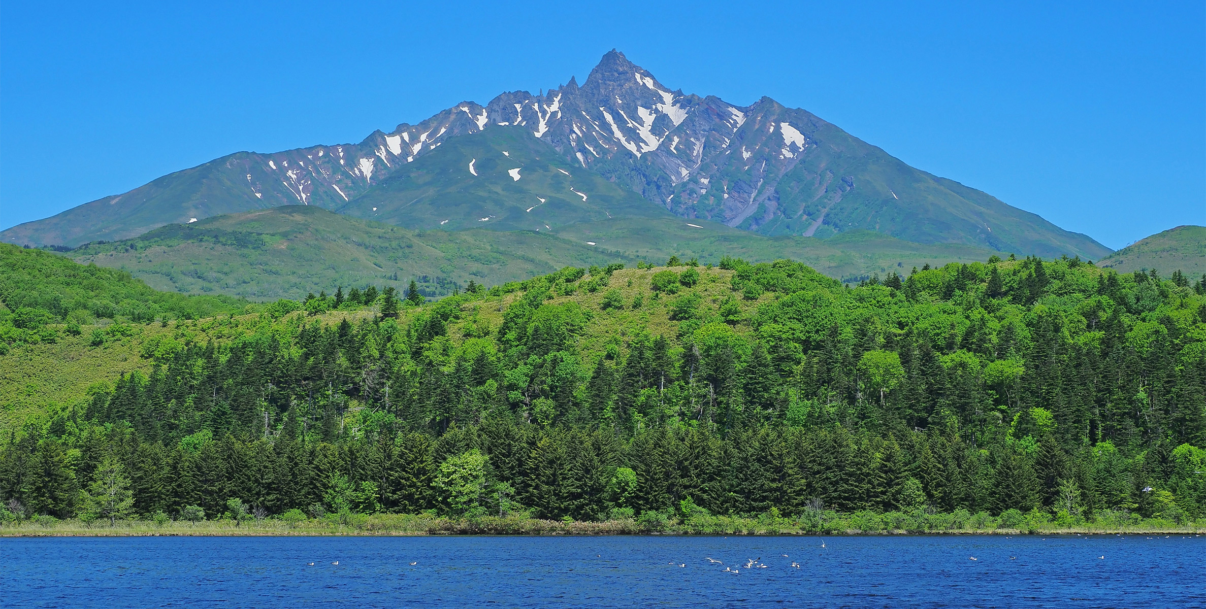 飛鳥Ⅱ・飛鳥Ⅲ公式クルーズ予約サイト | ASUKA CRUISE