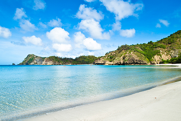 ボニンブルーの海が育む生きものたちの楽園<br>世界遺産の島へ