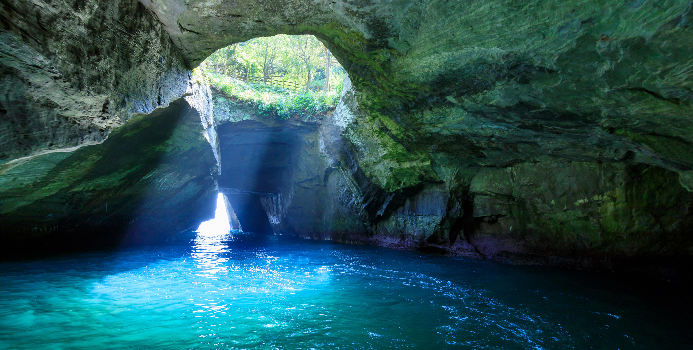 飛鳥Ⅱ・飛鳥Ⅲ公式クルーズ予約サイト | ASUKA CRUISE