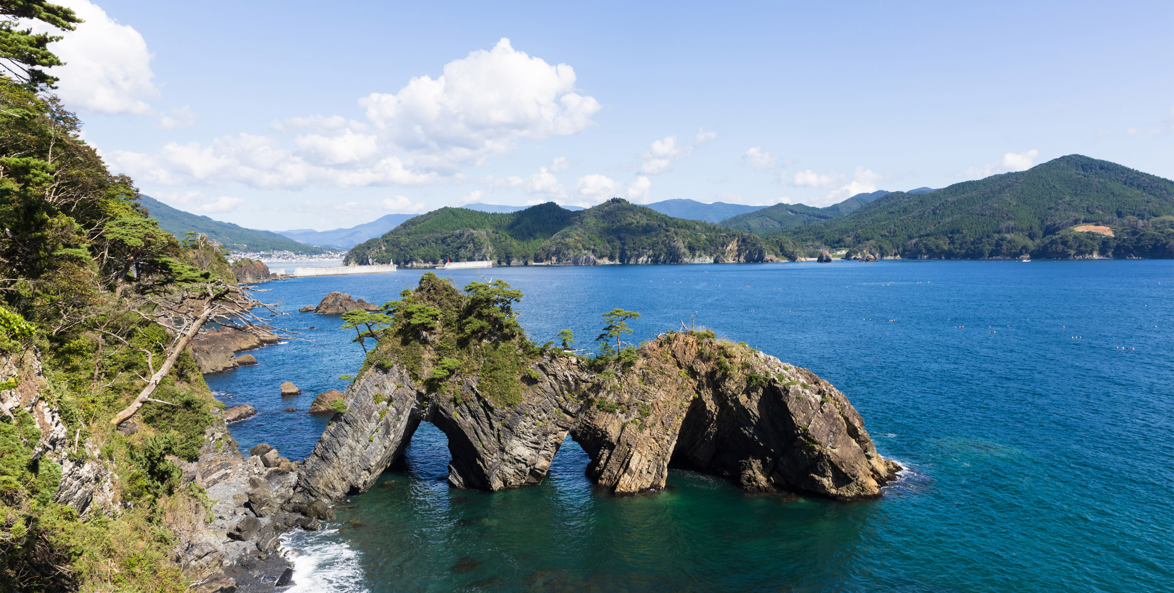 飛鳥Ⅱ・飛鳥Ⅲ公式クルーズ予約サイト | ASUKA CRUISE