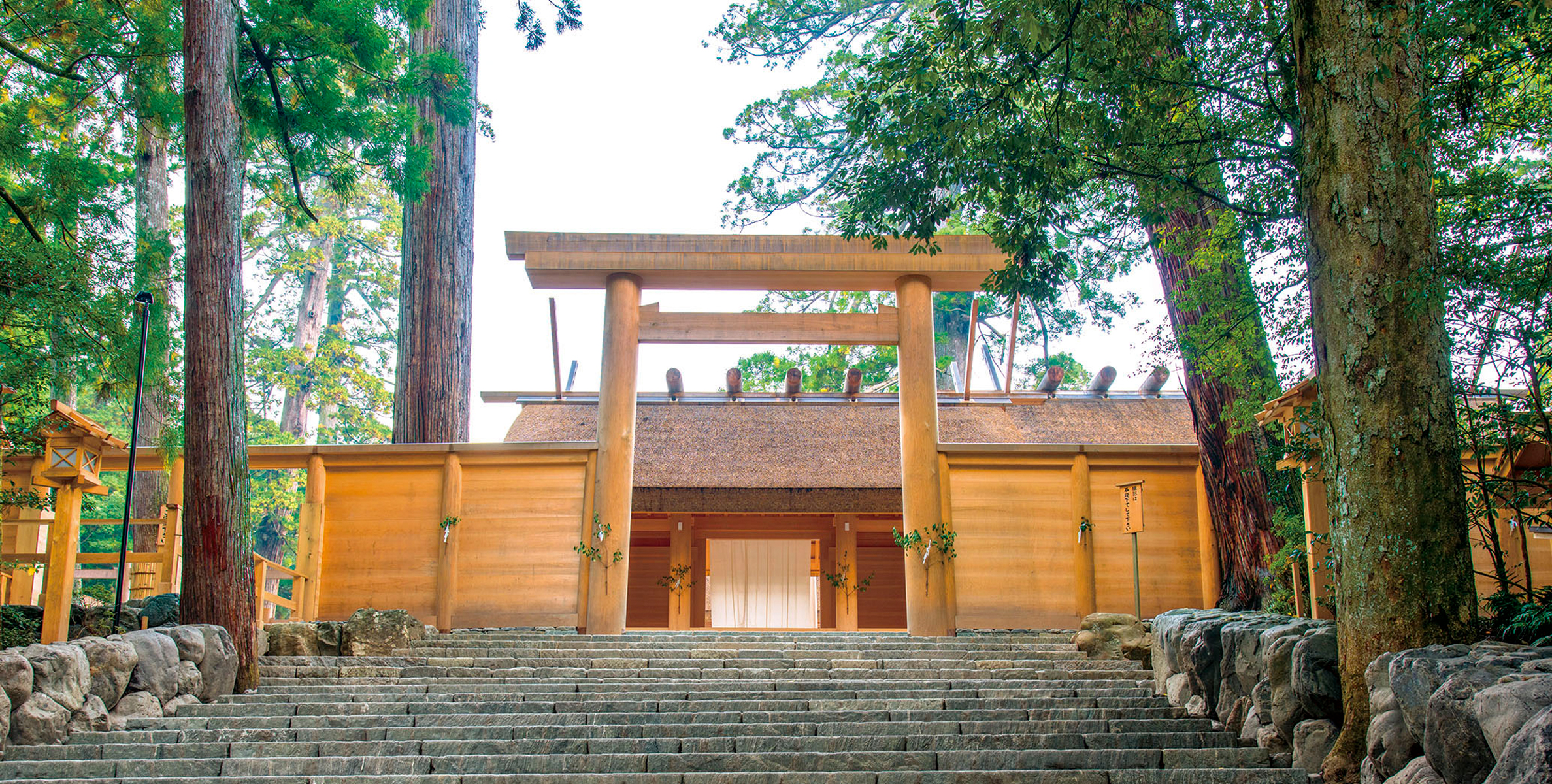 飛鳥Ⅱ・飛鳥Ⅲ公式クルーズ予約サイト | ASUKA CRUISE