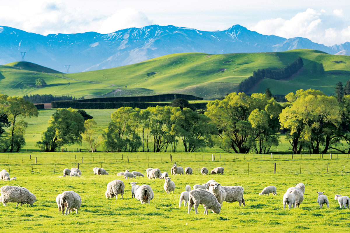 飛鳥Ⅱ・飛鳥Ⅲ公式クルーズ予約サイト | ASUKA CRUISE