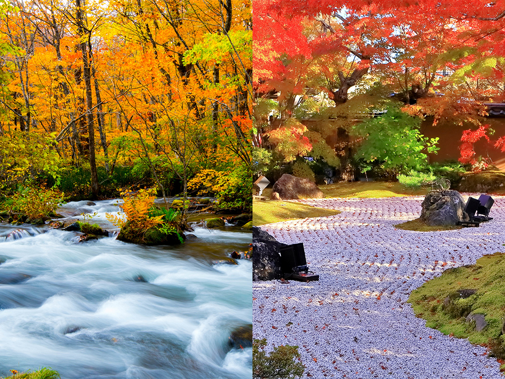 東北へ、深まる秋を訪ねて 秋の自然美を味わう絶景船旅