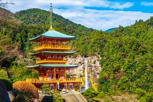 博多発 秋の新宮・横浜クルーズ