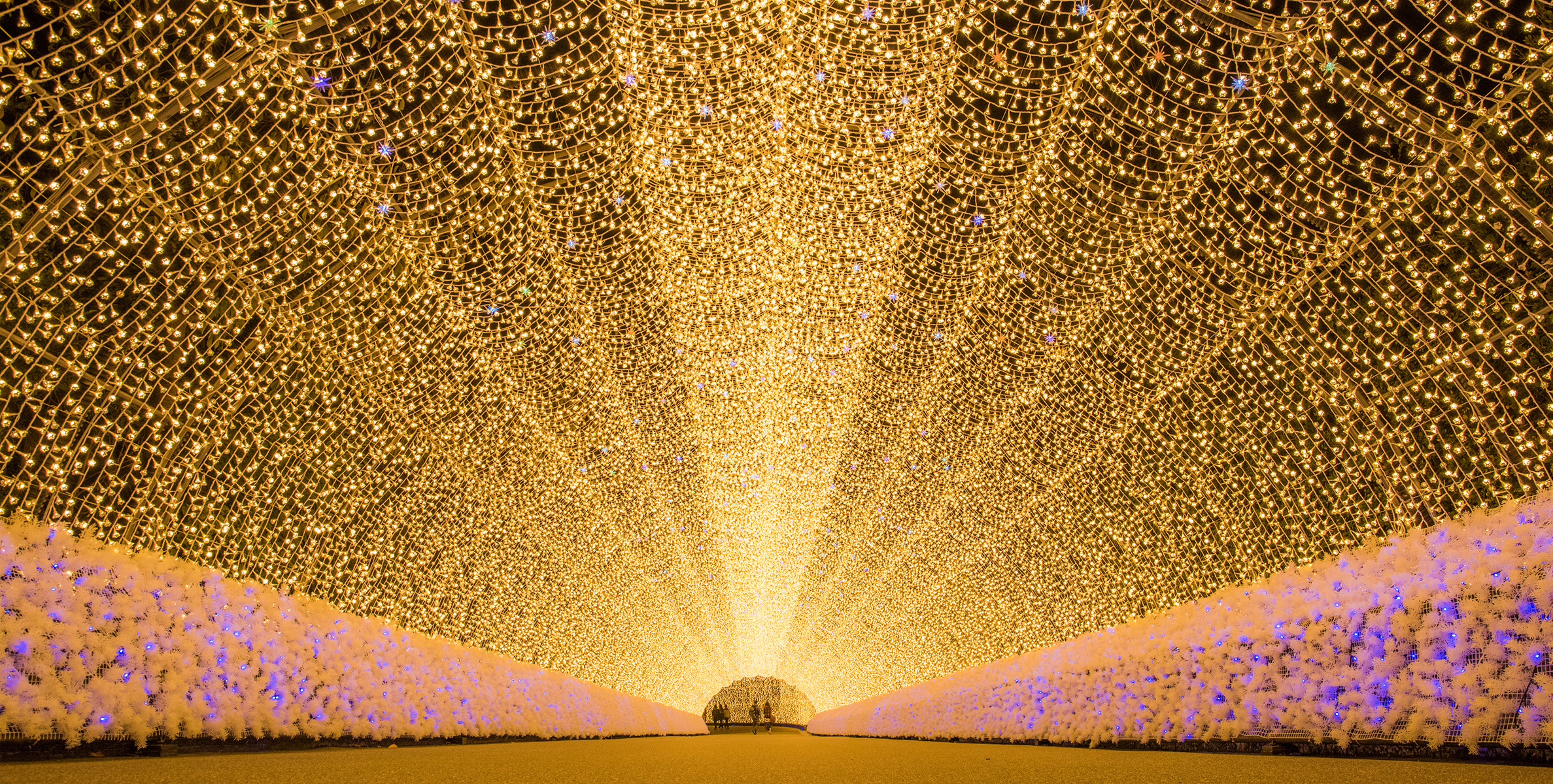 飛鳥クルーズ Xmas 横浜発着 四日市クルーズの写真