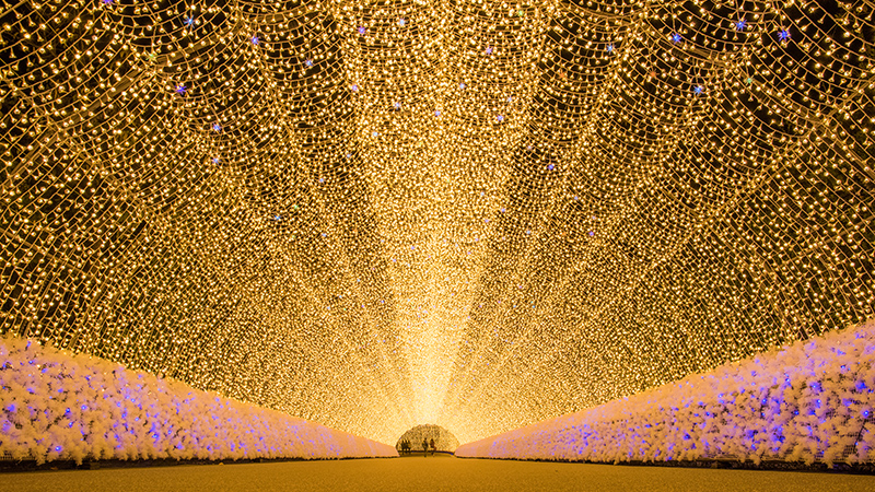 飛鳥クルーズ Xmas 横浜発着 四日市クルーズの写真