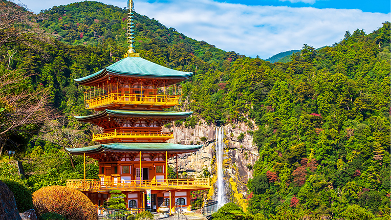 飛鳥クルーズ 博多発 早春の新宮・横浜クルーズの写真