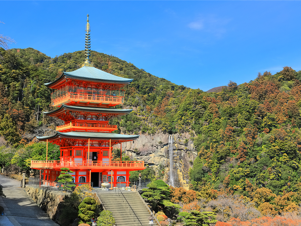 春風に誘われ、熊野三山へ<br>博多から横浜への移動型クルーズ