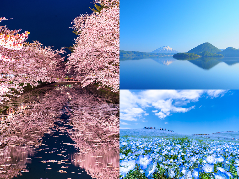 夜桜やネモフィラ－ 春だけの絶景を<br>春めく北の港をめぐる