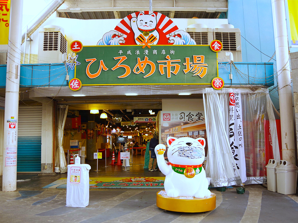 新春の土佐を訪ねて<br>神戸発着で清々しい年明けを味わう