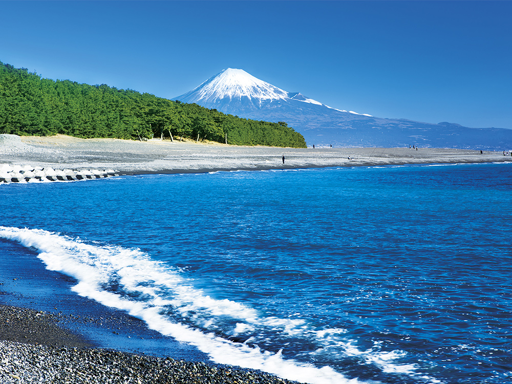 晴れやかな富士を望み 年の始まりを祝う移動型クルーズ