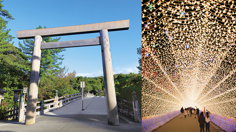 飛鳥クルーズ 早春の四日市クルーズの写真
