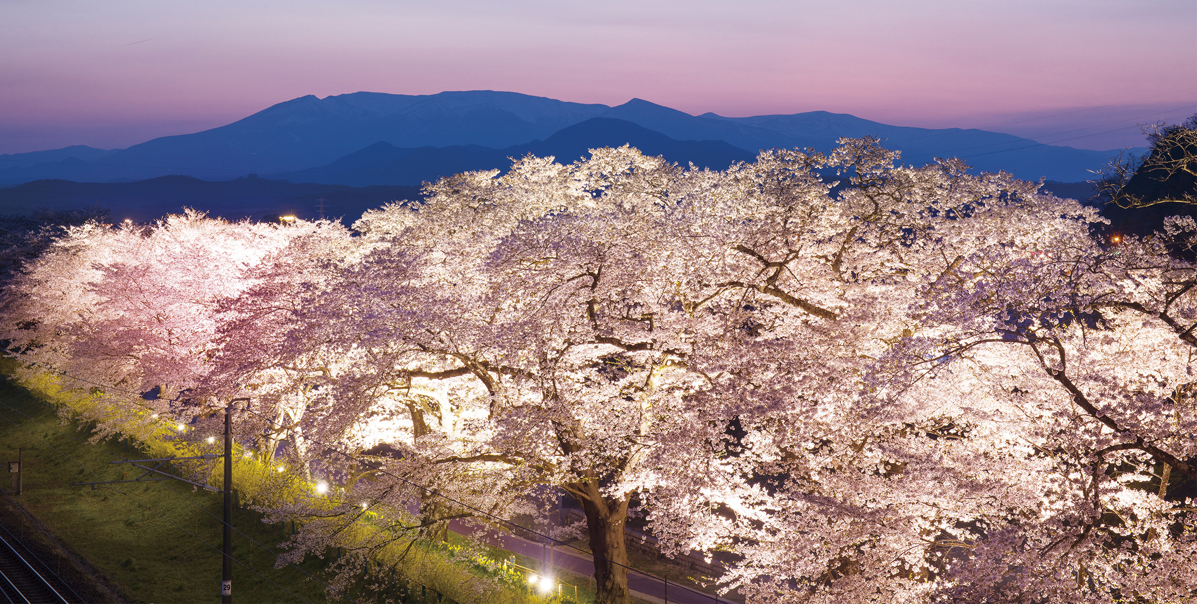 飛鳥クルーズ 春爛漫 函館・みちのくクルーズの写真