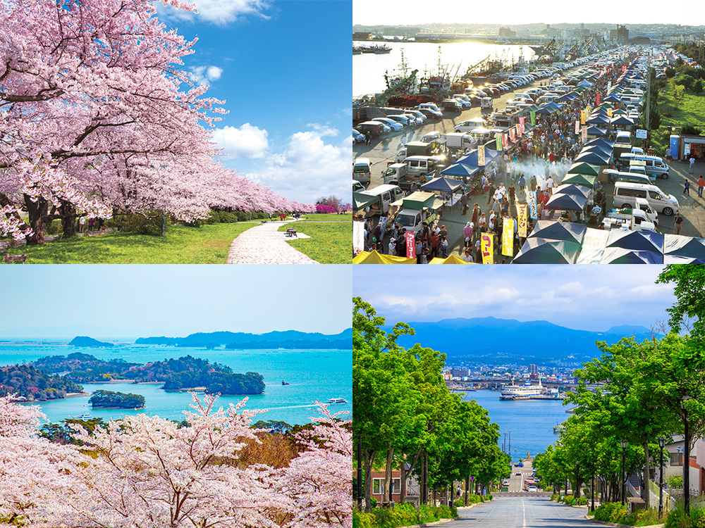 桜色に染まるみちのく・函館へ<br>春の恵みをたどる9日間