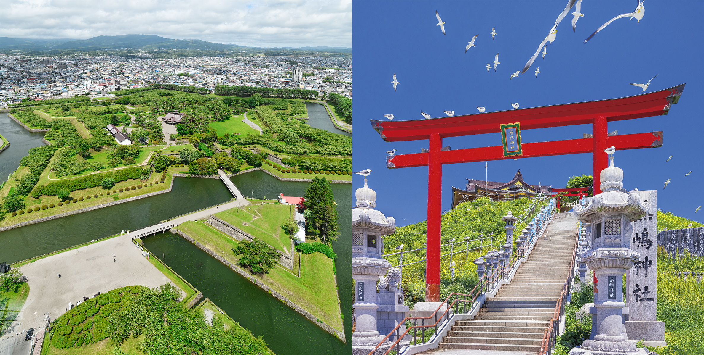 飛鳥クルーズ 春爛漫 函館・みちのくクルーズの写真