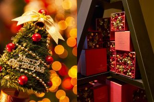 Xmas 東京・名古屋ショートクルーズ