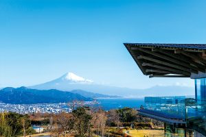 新春の清水クルーズ