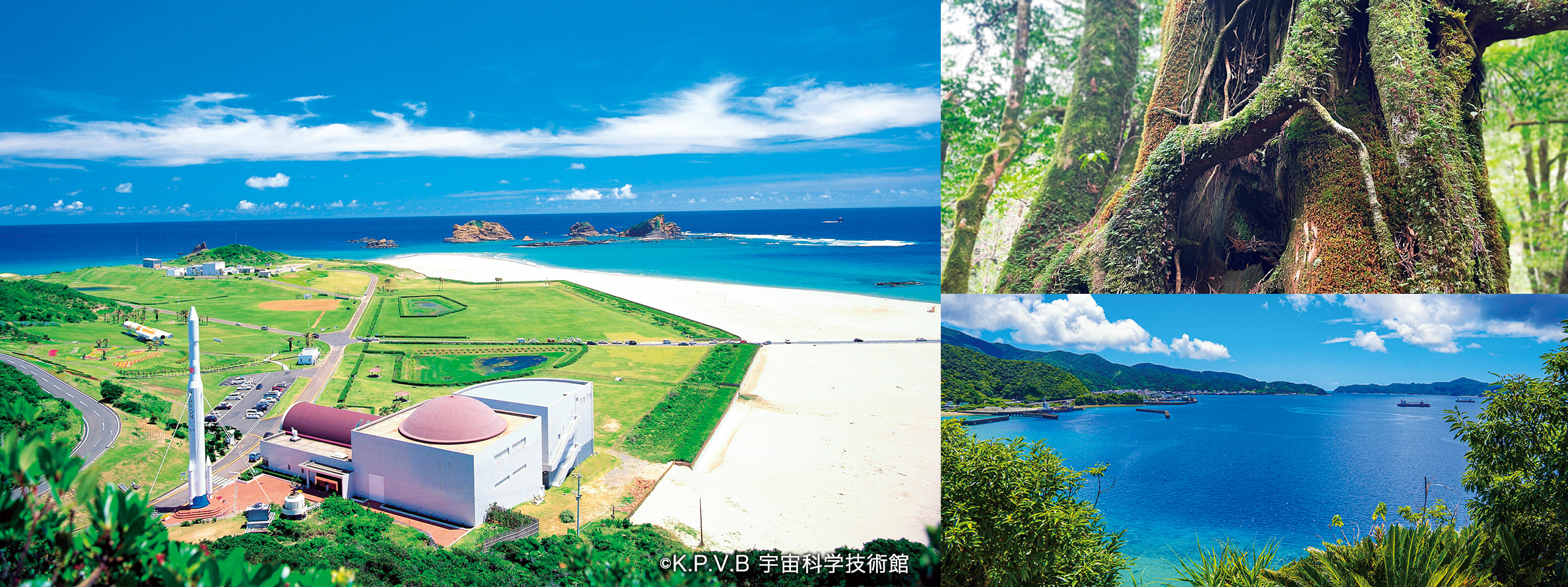 飛鳥クルーズ 名古屋発着 種子島・古仁屋 春の島めぐりの写真