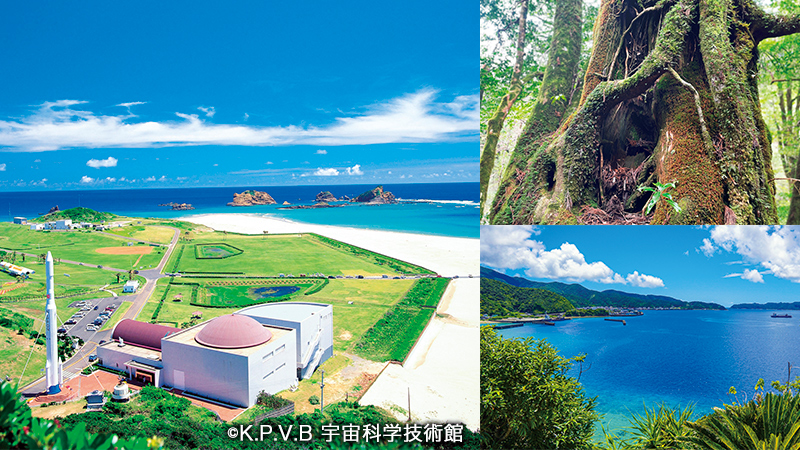 飛鳥クルーズ 名古屋発着 種子島・古仁屋 春の島めぐりの写真