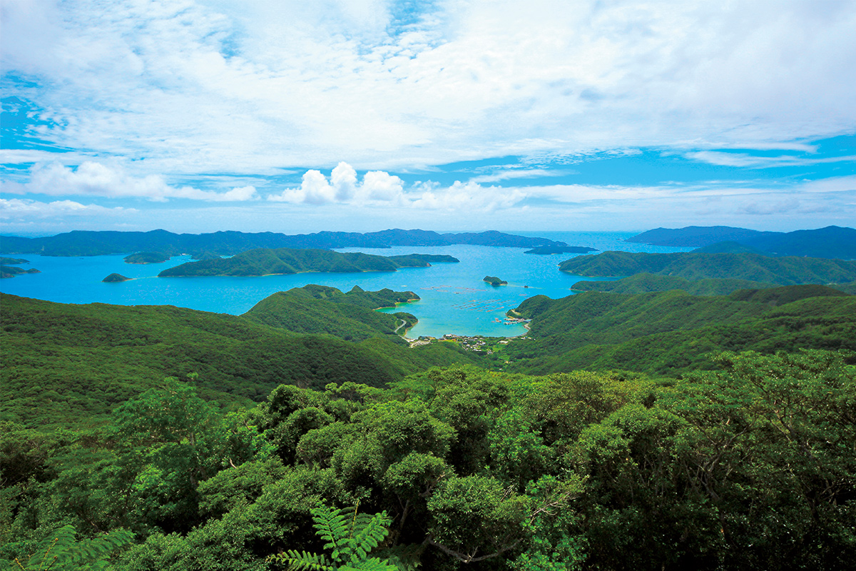 種子島・古仁屋