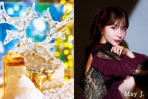 横浜 クリスマスウィークエンドクルーズ