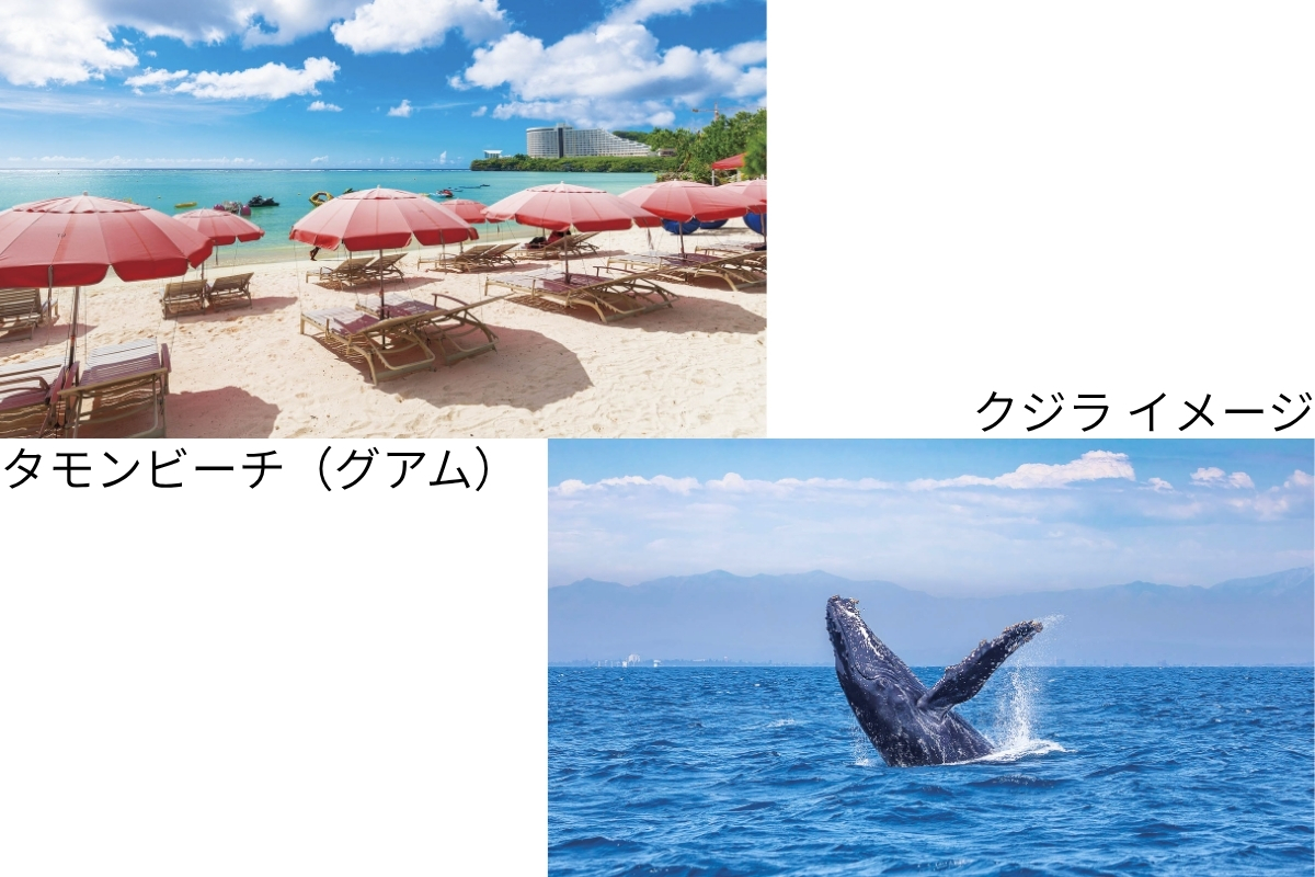 ベストシーズンの太平洋諸島をめぐる