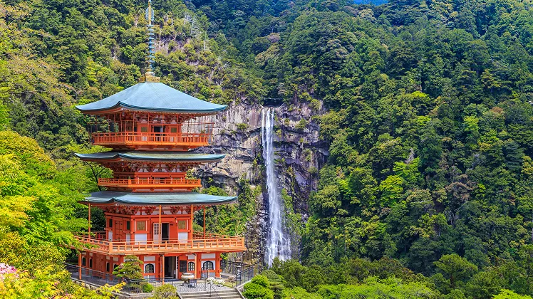 博多発 秋の新宮・横浜クルーズの寄港地風景