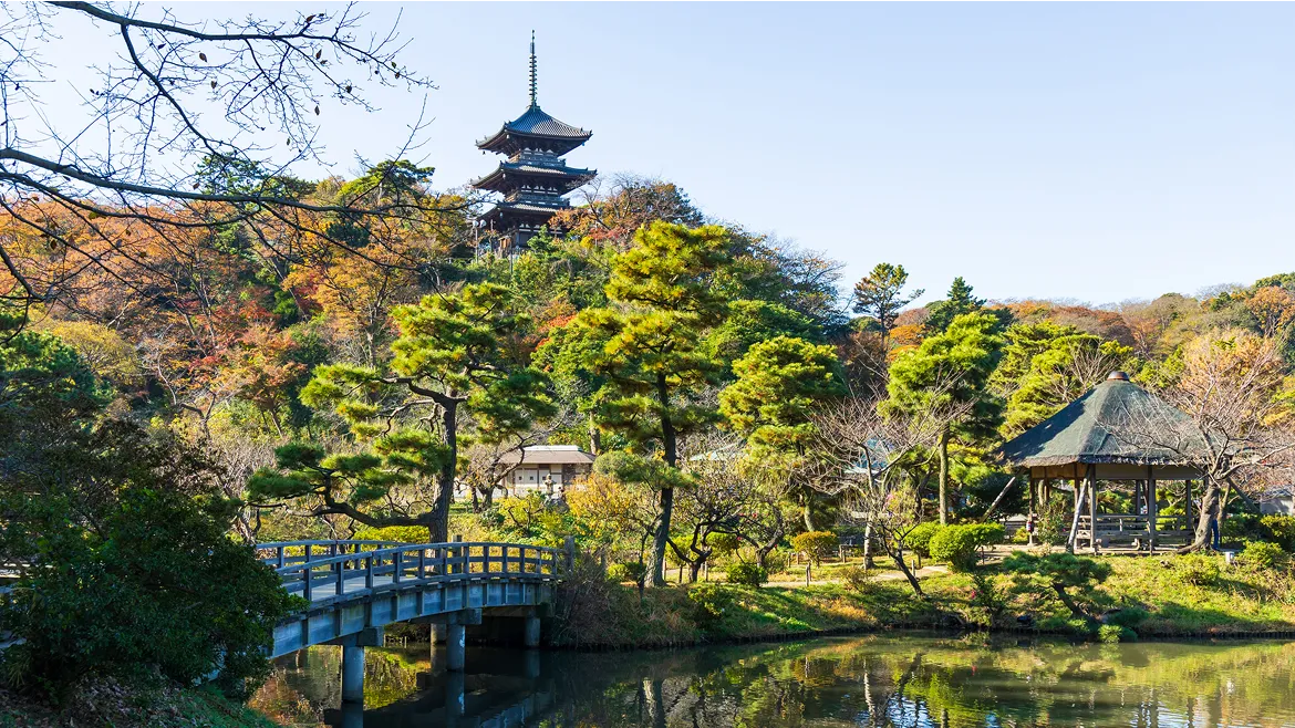 四季折々の景観が楽しめる三溪園