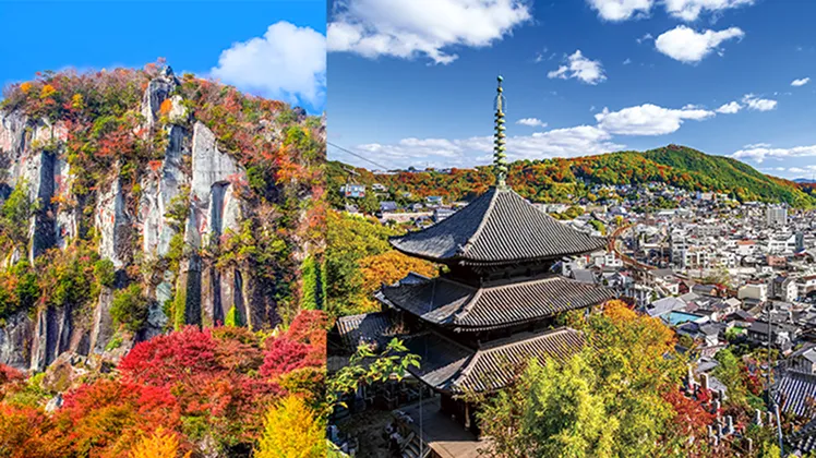 〜知の賢人×ASUKAⅢ〜 瀬戸内航路 秋の中津・尾道糸崎クルーズの寄港地風景