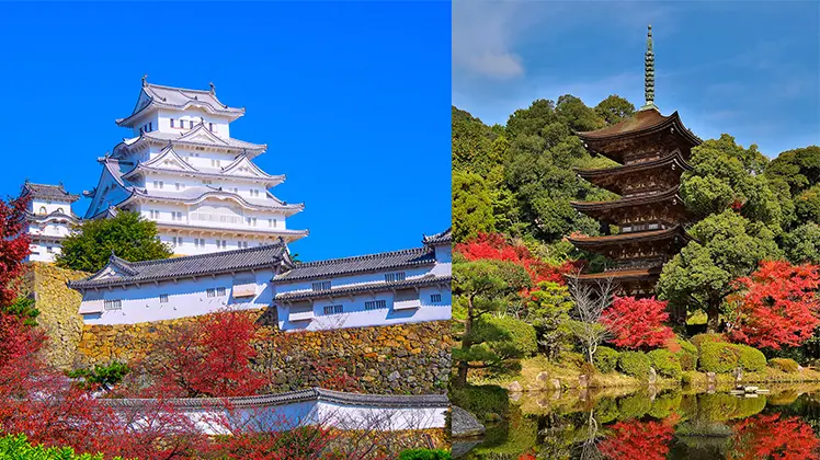 〜知の賢人× ASUKAⅢ〜 錦秋の瀬戸内 姫路・防府クルーズの寄港地風景