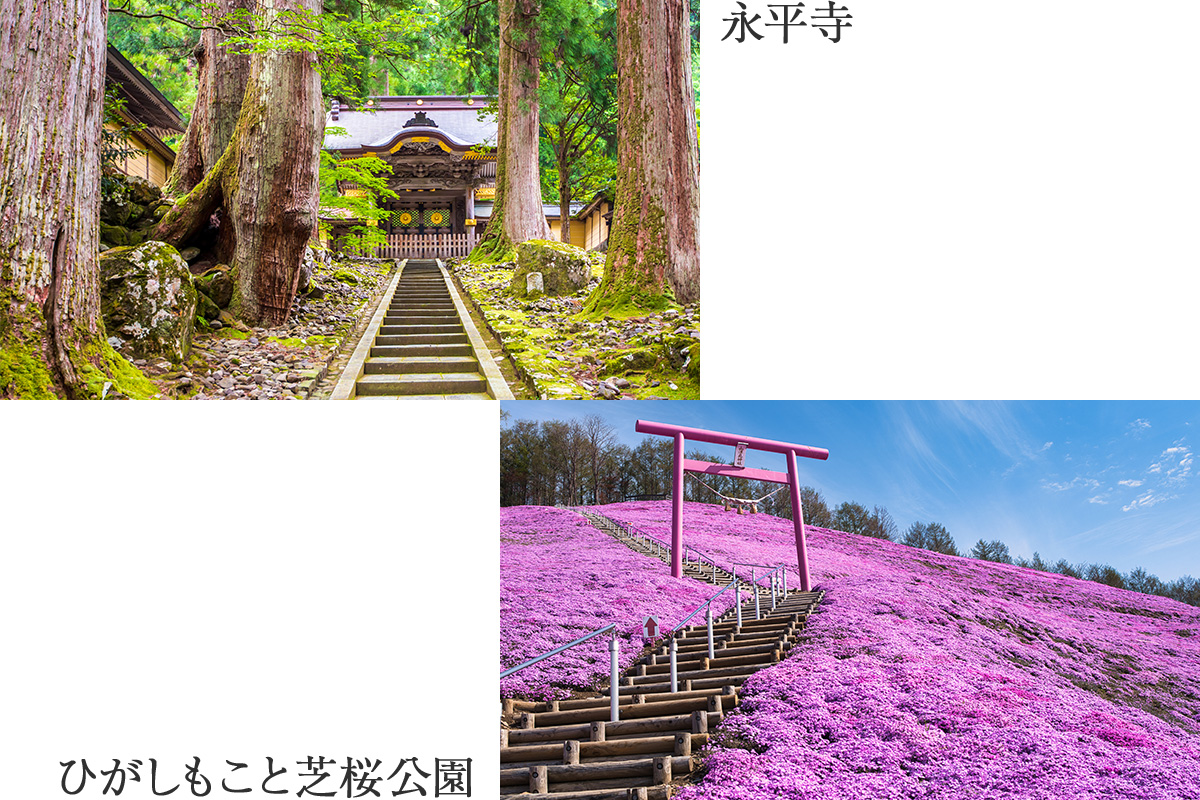 Destination Experiences<br>現地の文化や自然にふれる寄港地観光ツアー