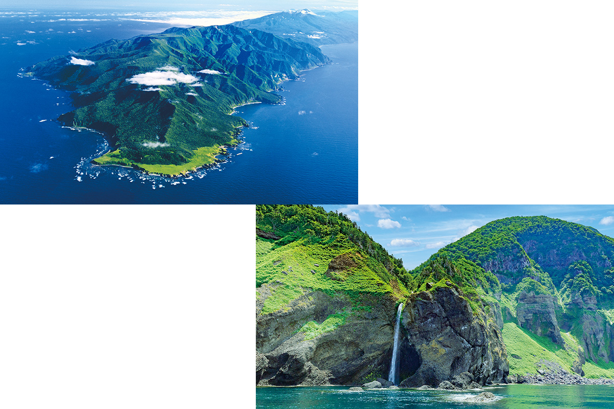 壮大な知床半島をクルージング